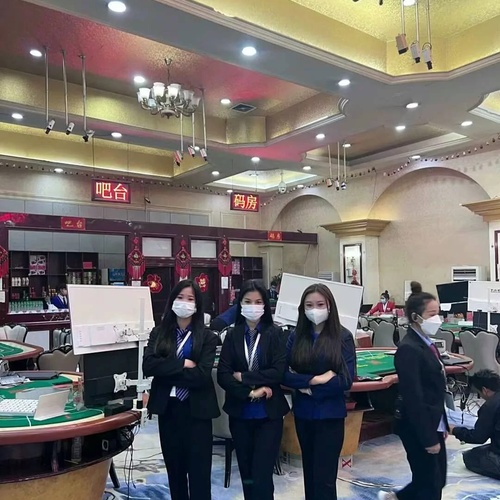 华纳公司客服现场服务